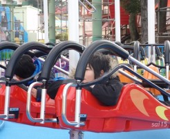 ひらかたパーク カイトフライヤー